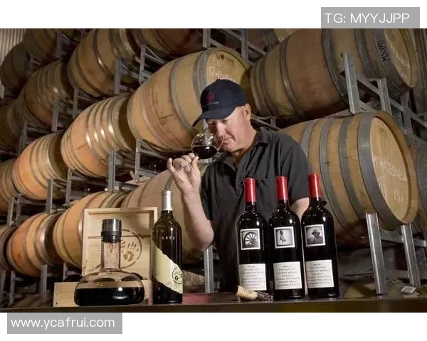 西班牙足球明星转型开酒庄探索运动与酿酒的完美结合