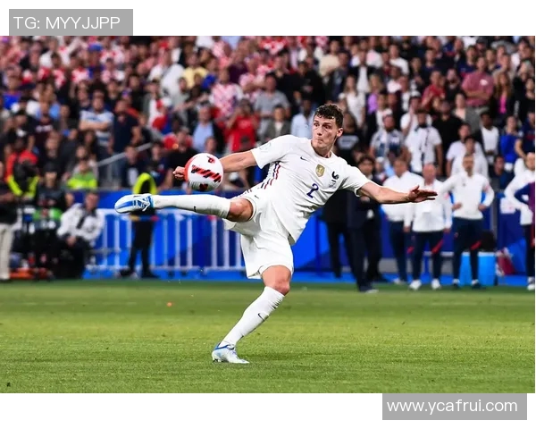 法国对阵爱尔兰比赛分析及大小球投注策略探讨 法国对阵爱尔兰比赛分析及大小球投注策略探讨