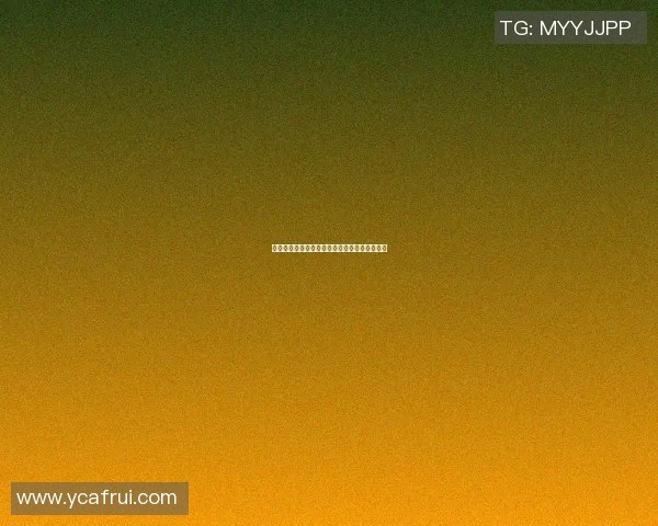 中国足球队队徽狼头的设计寓意与文化解读探讨