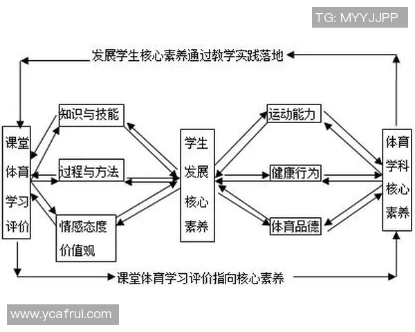 体育课程人力资源开发的特点与策略研究探讨