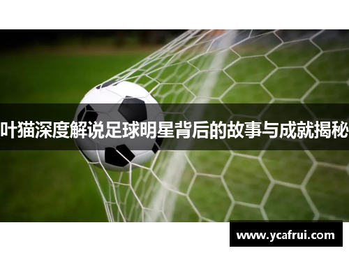 叶猫深度解说足球明星背后的故事与成就揭秘
