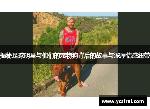 揭秘足球明星与他们的宠物狗背后的故事与深厚情感纽带