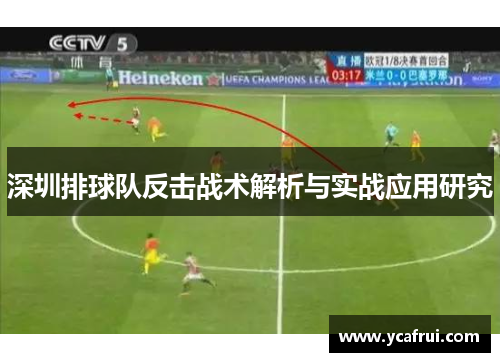 深圳排球队反击战术解析与实战应用研究