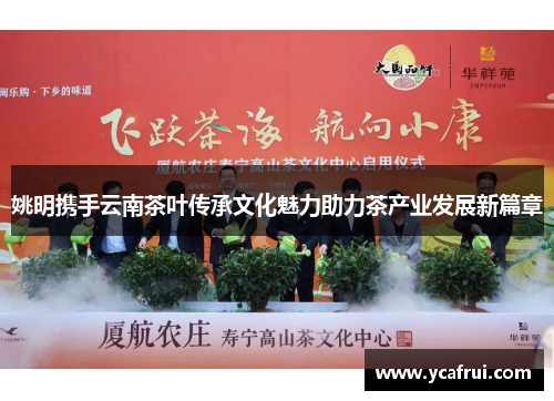 姚明携手云南茶叶传承文化魅力助力茶产业发展新篇章