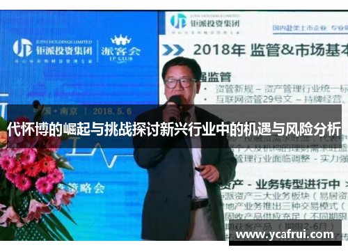 代怀博的崛起与挑战探讨新兴行业中的机遇与风险分析